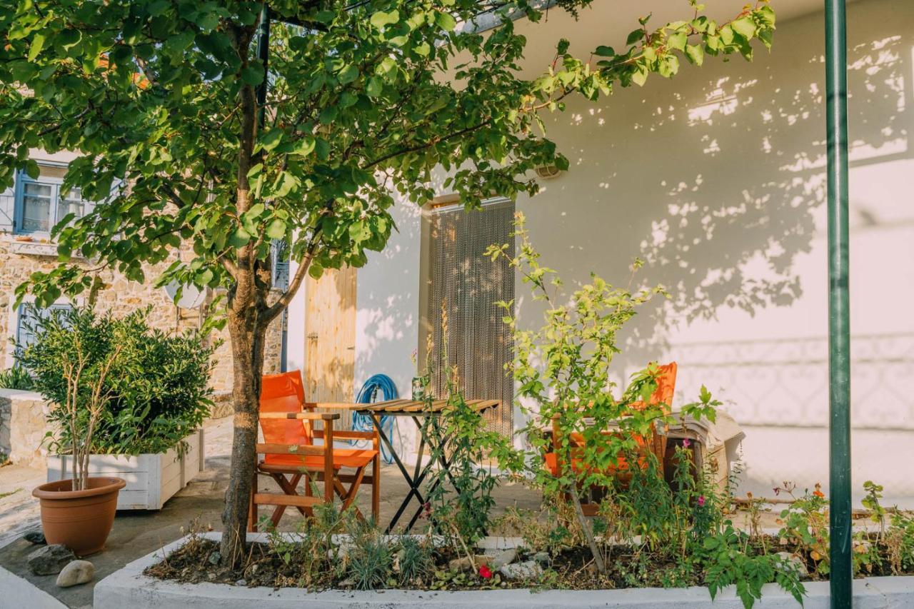 Samothráki The Apricot Tree Studio מראה חיצוני תמונה