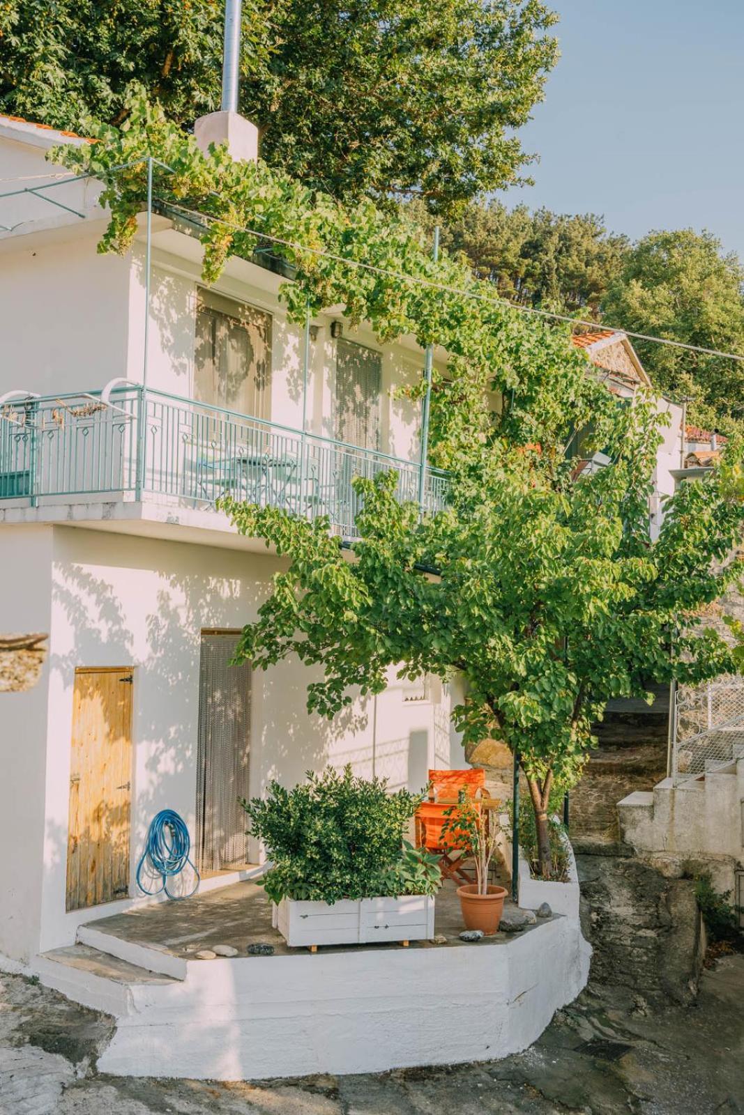 Samothráki The Apricot Tree Studio מראה חיצוני תמונה